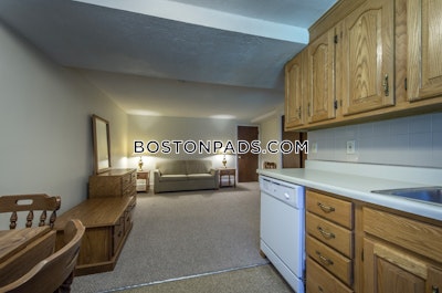 Cambridge Studio 1 Bath  Davis Square - $1,950