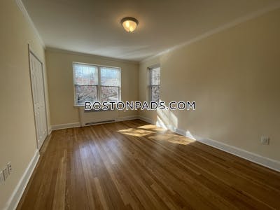Brighton Apartment for rent 1 Bedroom 1 Bath Boston - $2,975 No Fee
