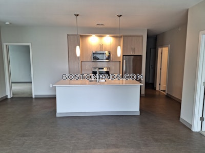 Jamaica Plain 2 bedroom  baths Luxury in BOSTON Boston - $3,795