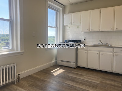 Brighton Apartment for rent 1 Bedroom 1 Bath Boston - $2,445 50% Fee